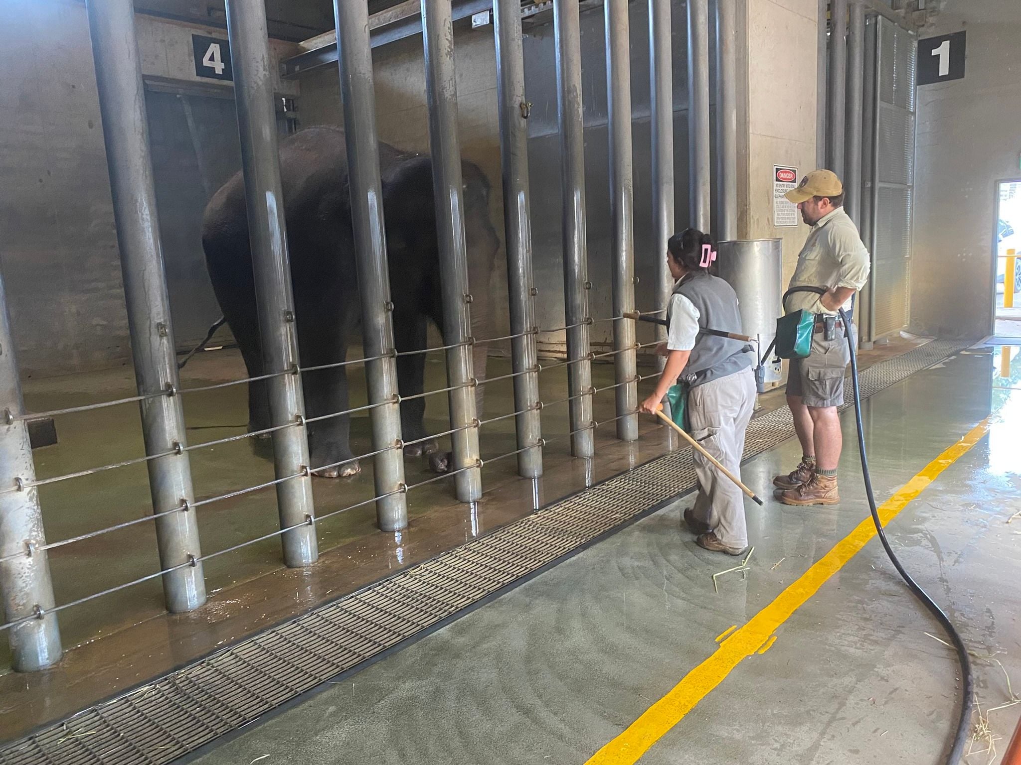 Dubbo Zoo 2025 Image -67de04b3e031b